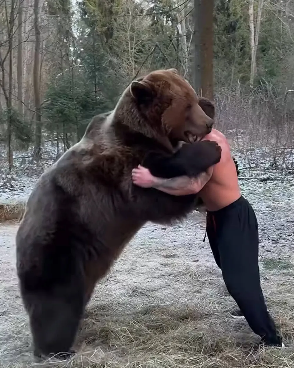 Ivan embracing a brown bear in a snowy forest